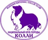 колли клуб