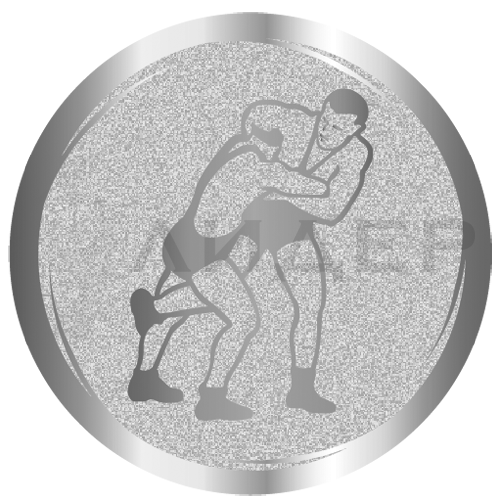 вкладыш E25WRE003S_25_борьба