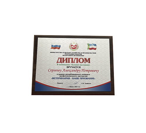 Плакетка (наградная доска) формат А4 с термопереносом
