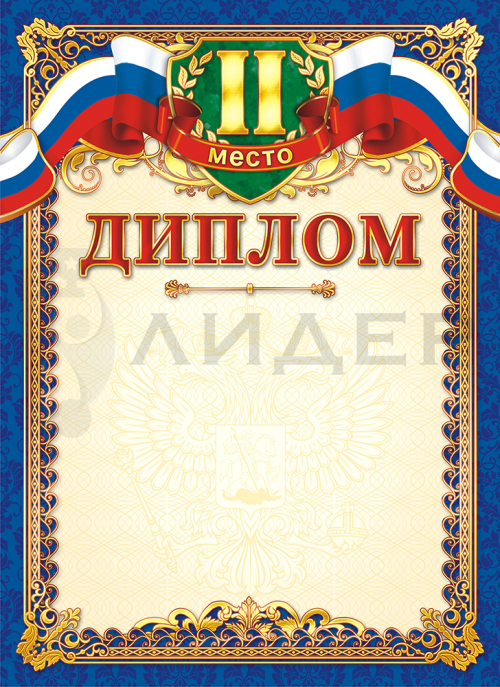 Диплом 2 место ОГ-1181